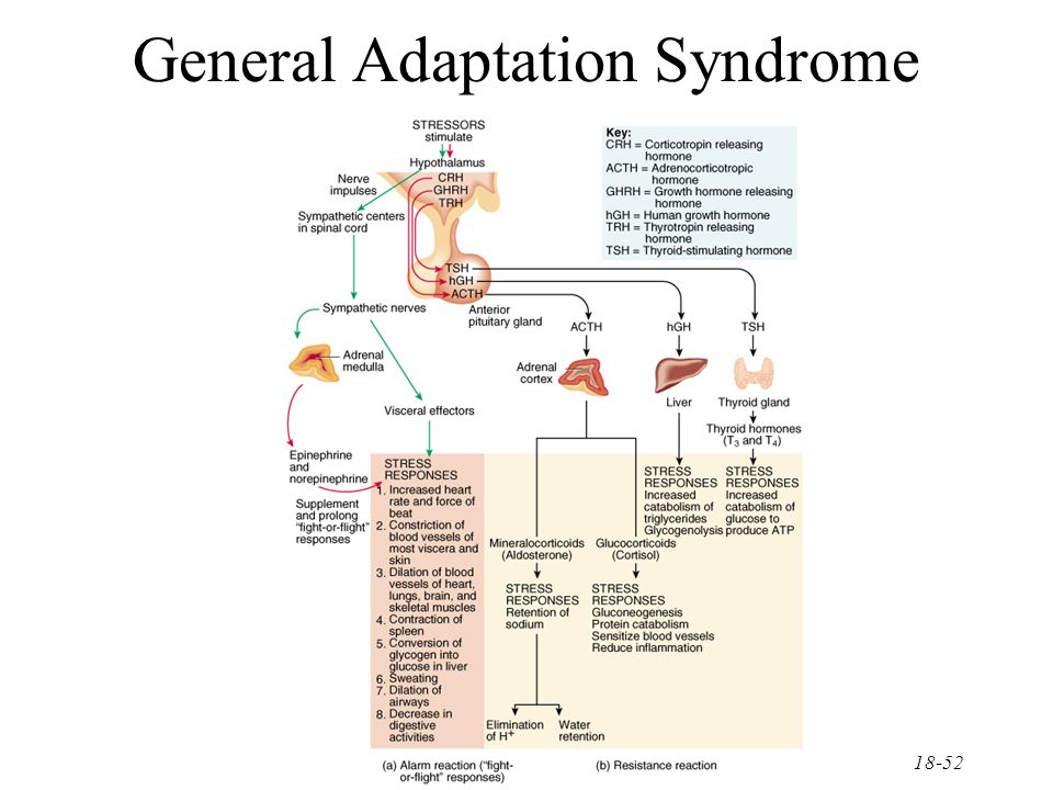 General adaption syndrome